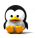 Tux icon